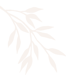 spa shape